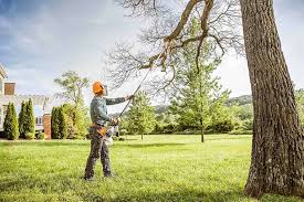 Best Tree Health Inspection  in St Georges, DE
